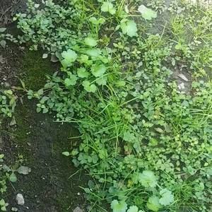 Meet your Posher, Duvuri